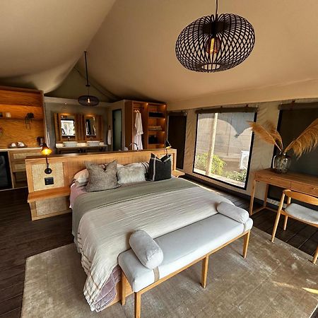 Addo Elephant Safari Lodge - Bellevue Forest Reserve Paterson Ngoại thất bức ảnh