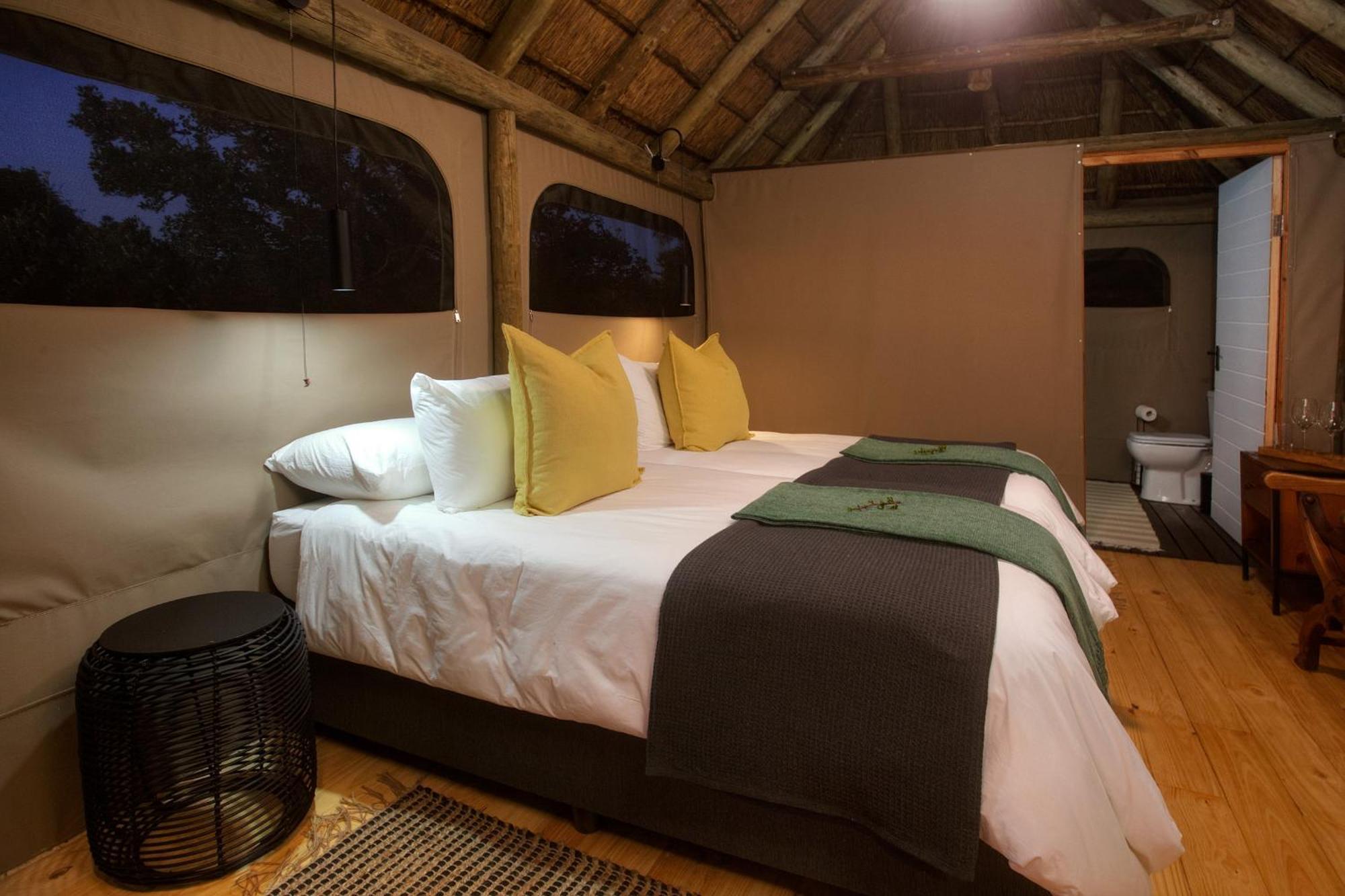 Addo Elephant Safari Lodge - Bellevue Forest Reserve Paterson Ngoại thất bức ảnh