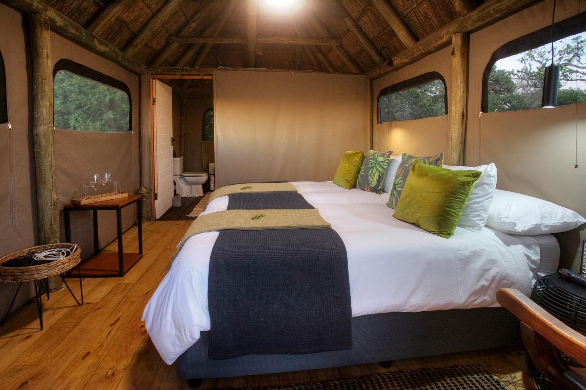 Addo Elephant Safari Lodge - Bellevue Forest Reserve Paterson Ngoại thất bức ảnh