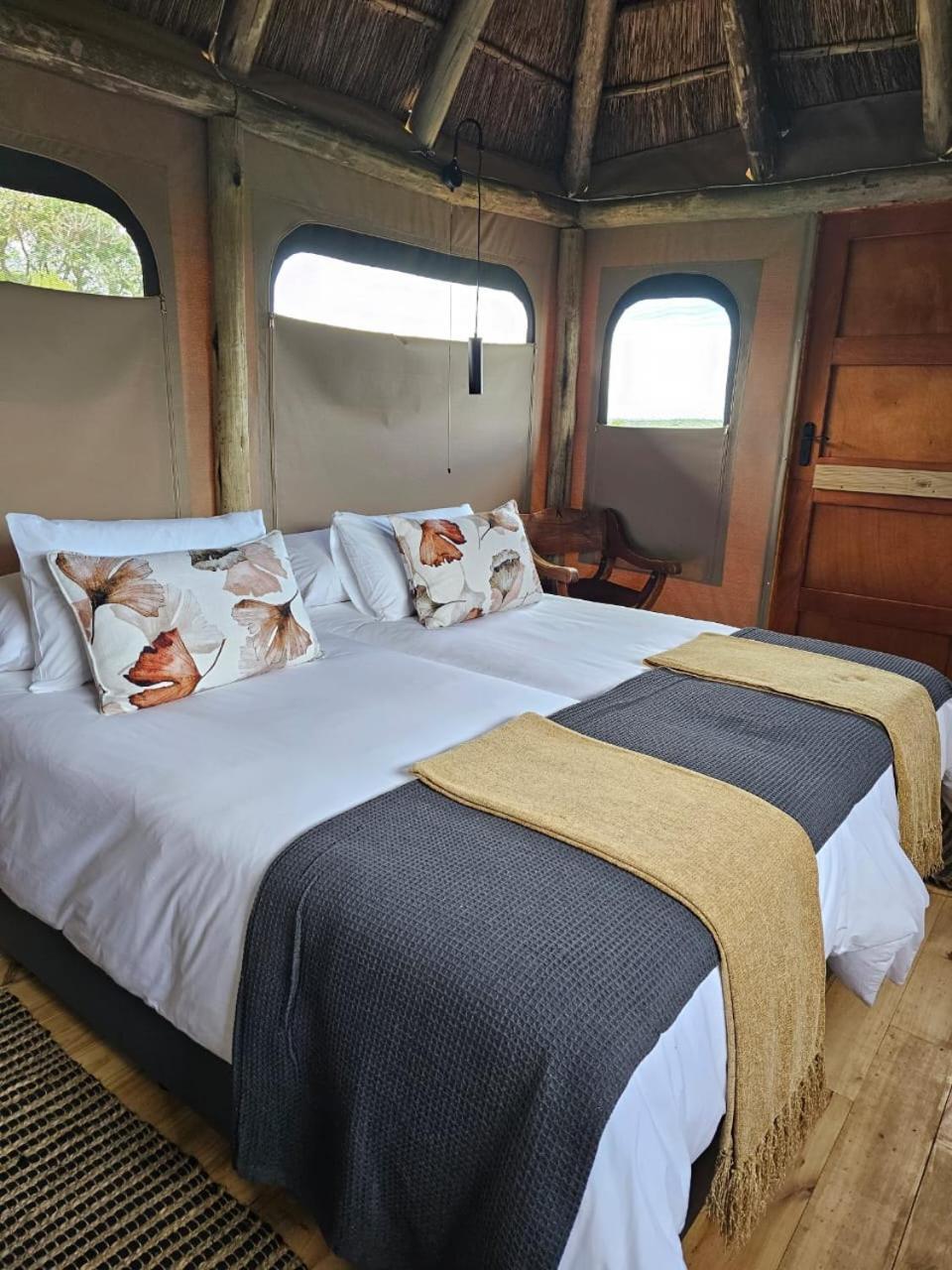 Addo Elephant Safari Lodge - Bellevue Forest Reserve Paterson Ngoại thất bức ảnh