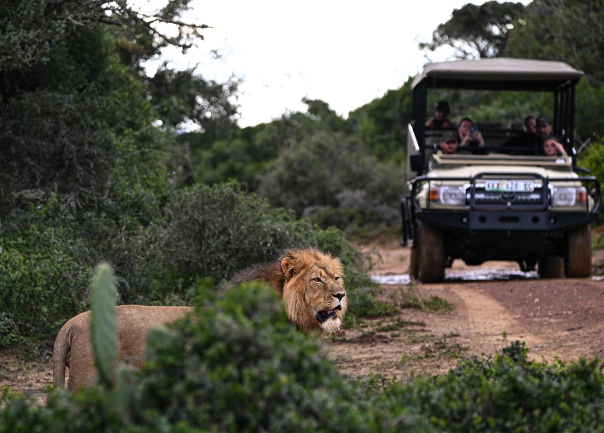 Addo Elephant Safari Lodge - Bellevue Forest Reserve Paterson Ngoại thất bức ảnh