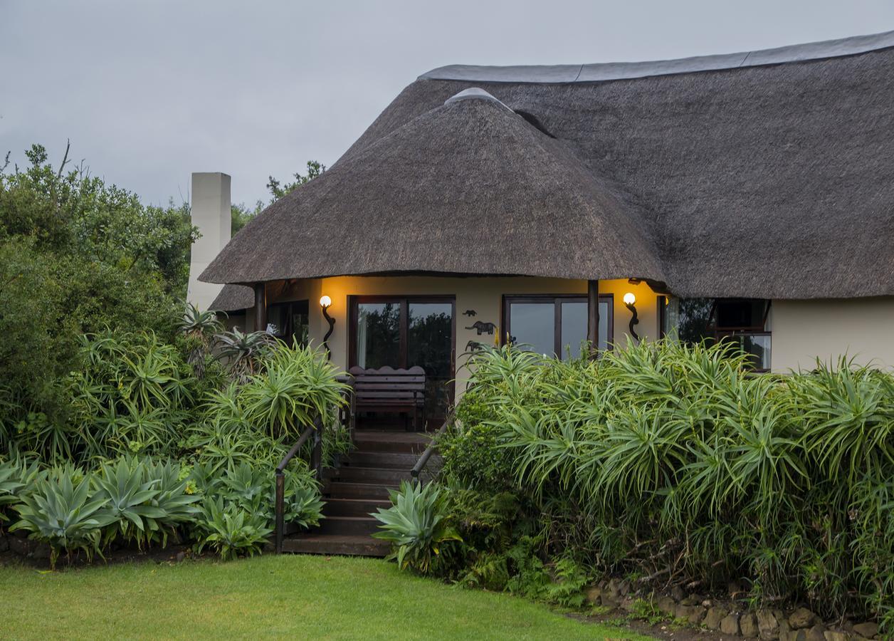 Addo Elephant Safari Lodge - Bellevue Forest Reserve Paterson Ngoại thất bức ảnh