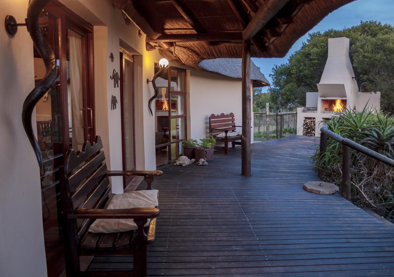 Addo Elephant Safari Lodge - Bellevue Forest Reserve Paterson Ngoại thất bức ảnh