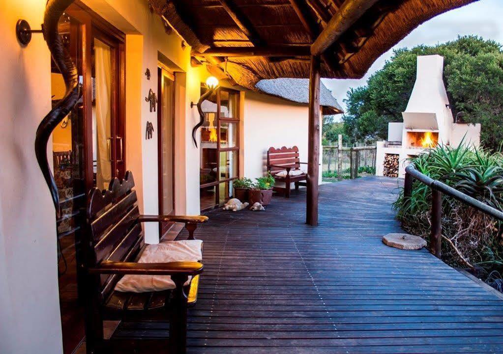 Addo Elephant Safari Lodge - Bellevue Forest Reserve Paterson Ngoại thất bức ảnh
