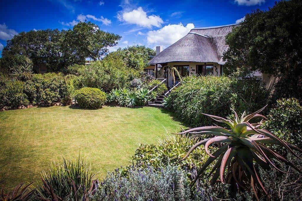Addo Elephant Safari Lodge - Bellevue Forest Reserve Paterson Ngoại thất bức ảnh