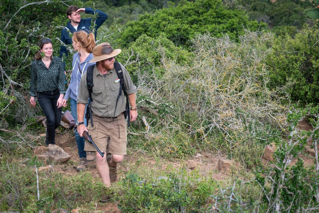 Addo Elephant Safari Lodge - Bellevue Forest Reserve Paterson Ngoại thất bức ảnh