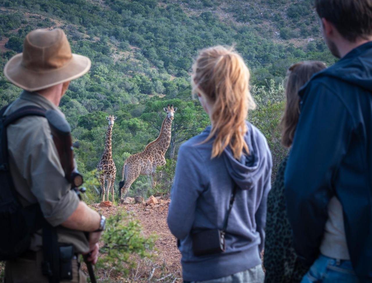 Addo Elephant Safari Lodge - Bellevue Forest Reserve Paterson Ngoại thất bức ảnh
