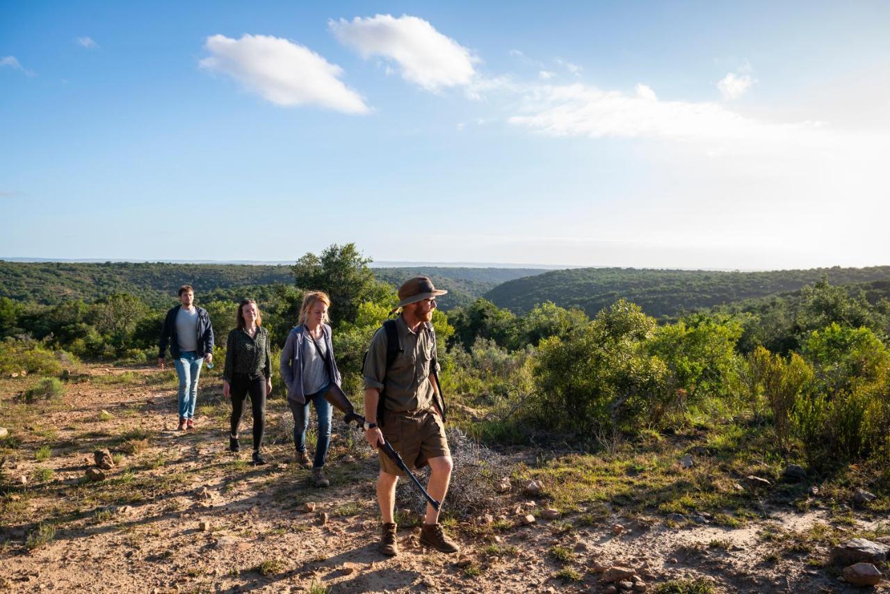 Addo Elephant Safari Lodge - Bellevue Forest Reserve Paterson Ngoại thất bức ảnh