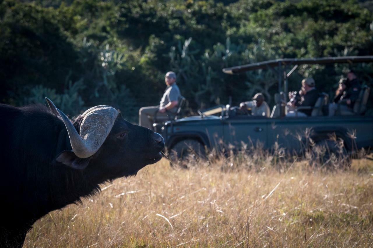 Addo Elephant Safari Lodge - Bellevue Forest Reserve Paterson Ngoại thất bức ảnh