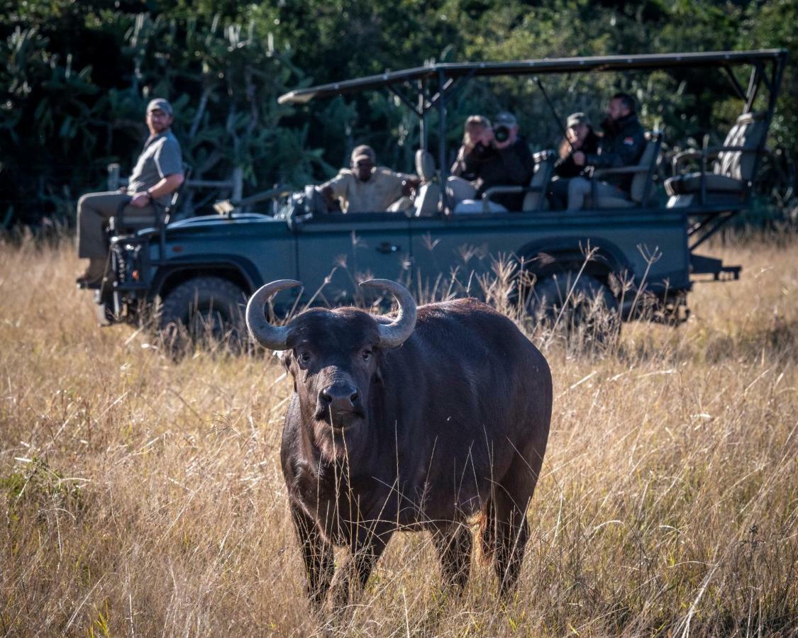 Addo Elephant Safari Lodge - Bellevue Forest Reserve Paterson Ngoại thất bức ảnh