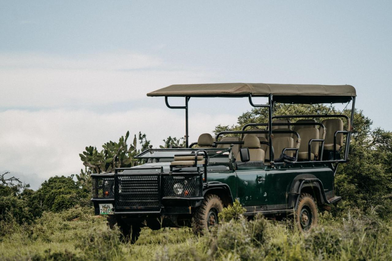 Addo Elephant Safari Lodge - Bellevue Forest Reserve Paterson Ngoại thất bức ảnh